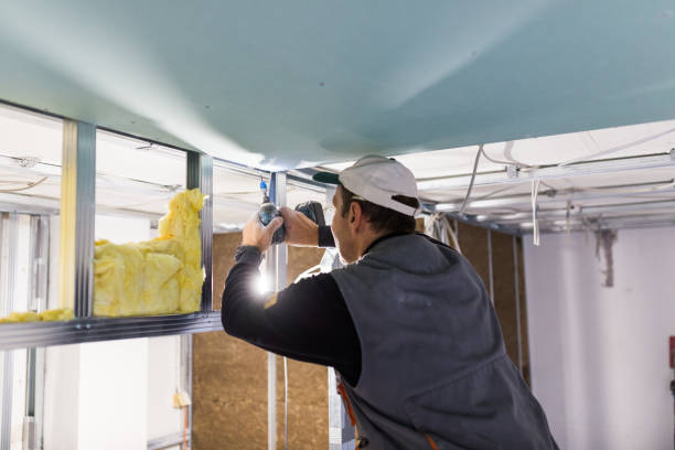 Best Best Insulation Companies  in Watertown, NY